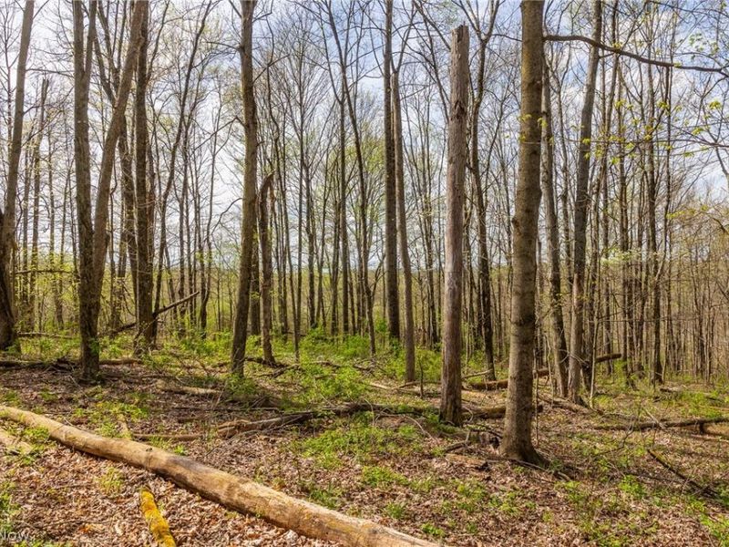 US Route 36, Warsaw, OH 43844 Photo 32