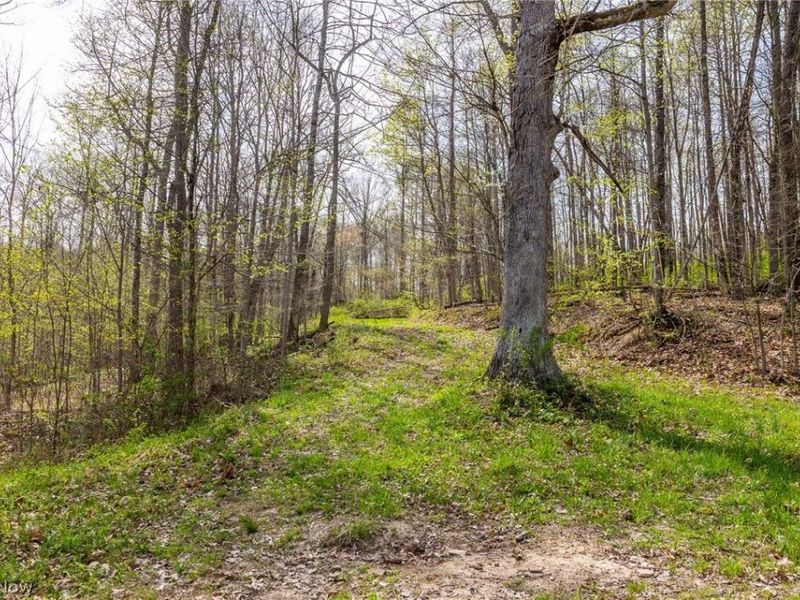 US Route 36, Warsaw, OH 43844 Photo 33