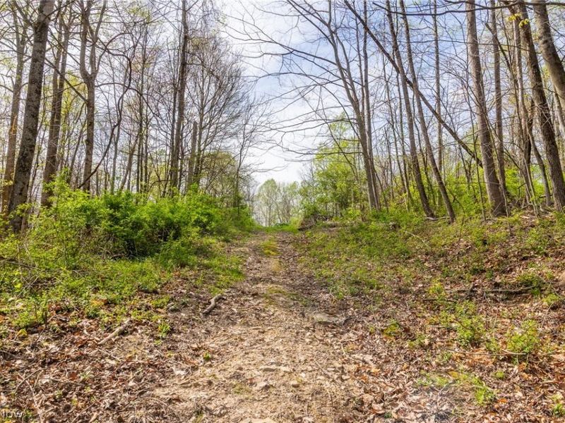 US Route 36, Warsaw, OH 43844 Photo 34