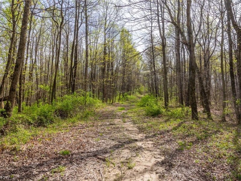 US Route 36, Warsaw, OH 43844 Photo 35