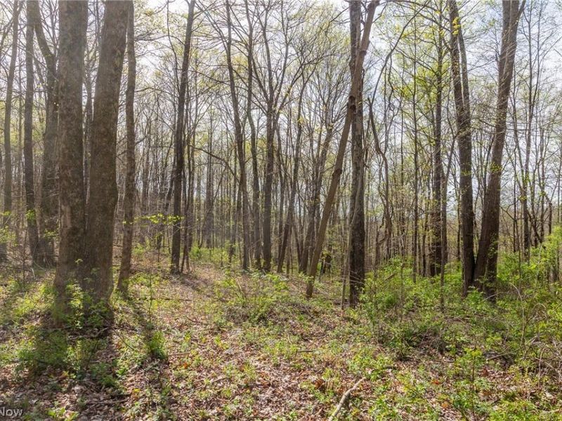 US Route 36, Warsaw, OH 43844 Photo 36