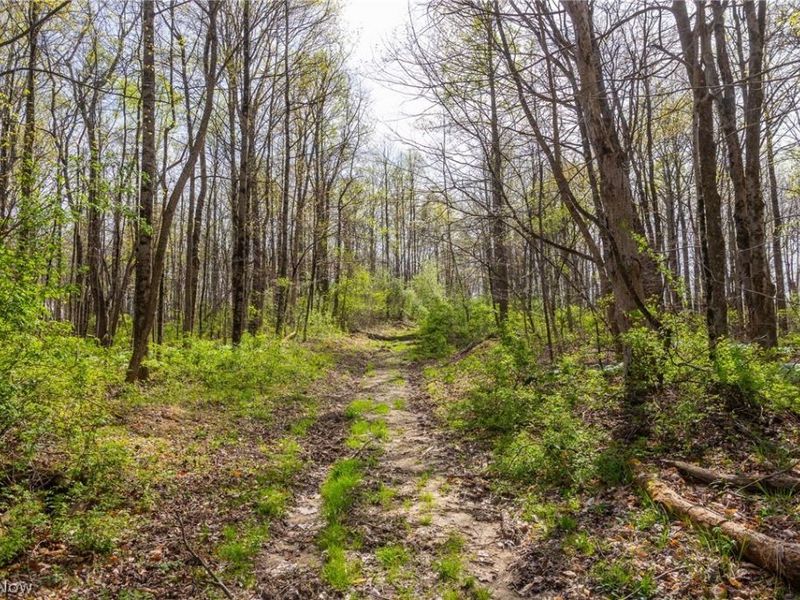 US Route 36, Warsaw, OH 43844 Photo 37