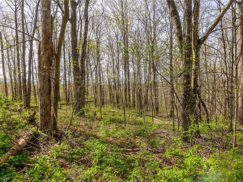 US Route 36, Warsaw, OH 43844 Photo 38