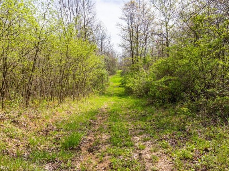 US Route 36, Warsaw, OH 43844 Photo 40