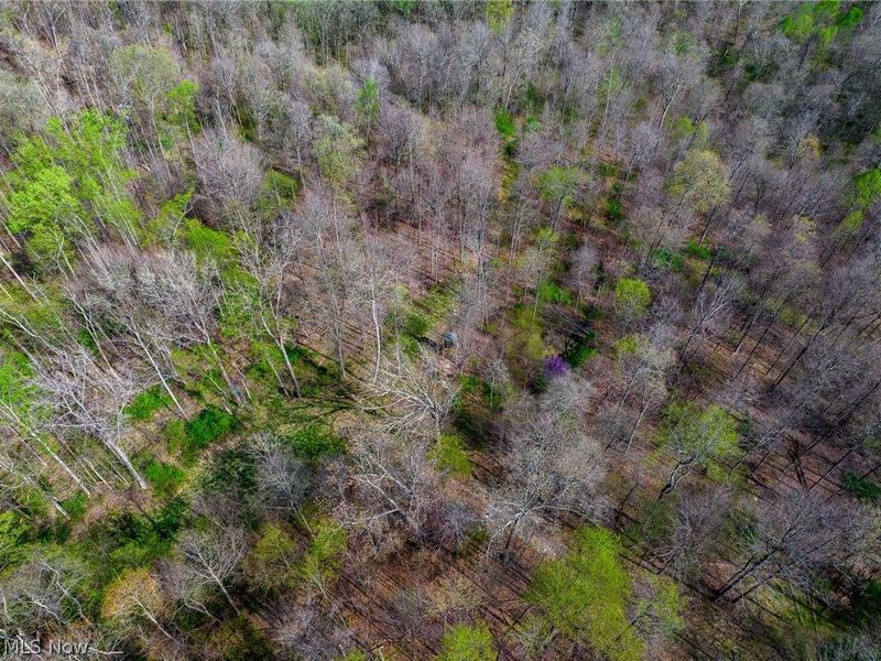 US Route 36, Warsaw, OH 43844 Photo 42