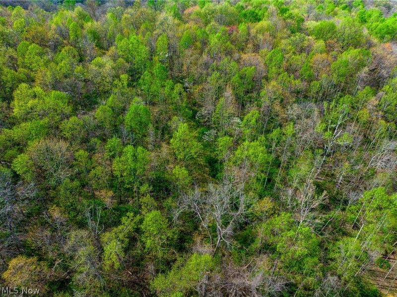 US Route 36, Warsaw, OH 43844 Photo 43