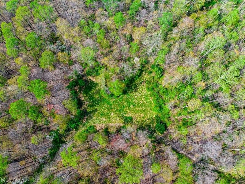 US Route 36, Warsaw, OH 43844 Photo 45