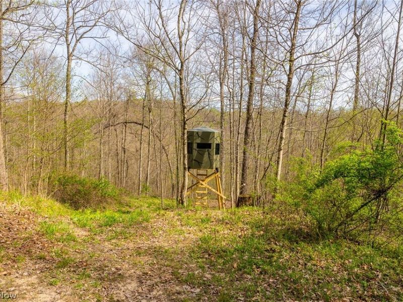 US Route 36, Warsaw, OH 43844 Photo 5