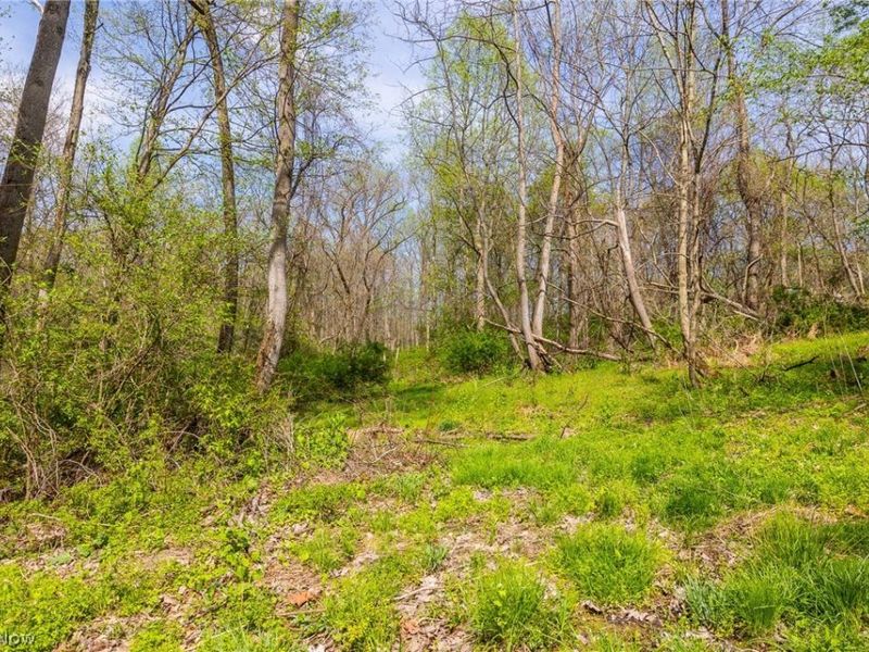 US Route 36, Warsaw, OH 43844 Photo 8