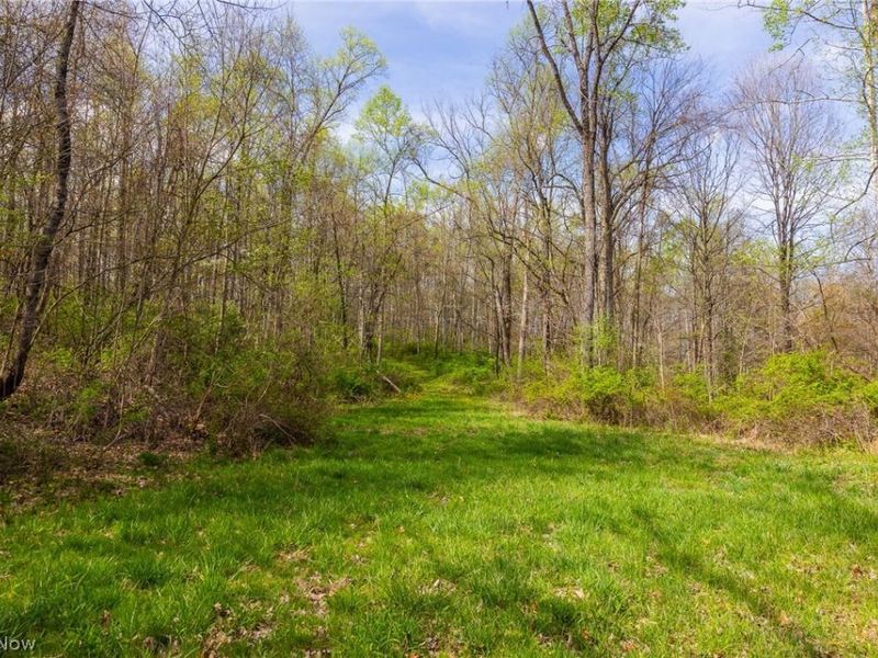 US Route 36, Warsaw, OH 43844 Photo 9