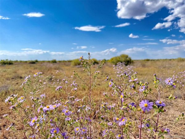 8 Sangre De Cristo , Mosca, CO 81146