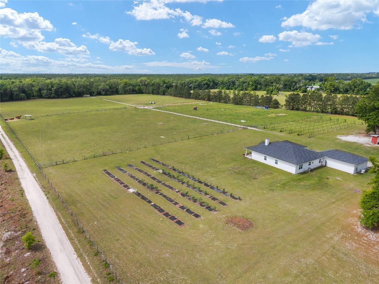 3725 172nd Street, Wellborn, FL 32094 Photo