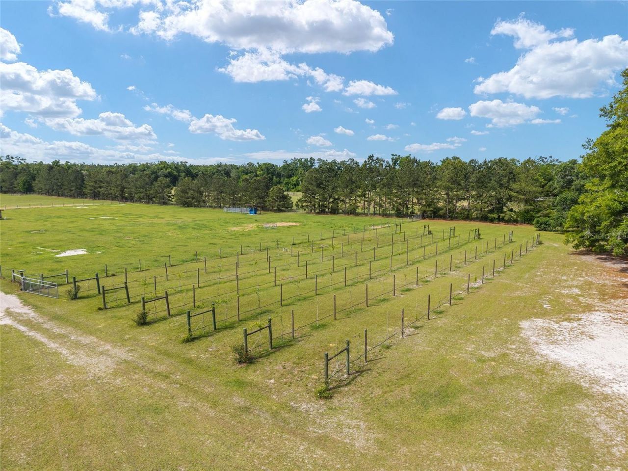 3725 172nd Street, Wellborn, FL 32094 Photo