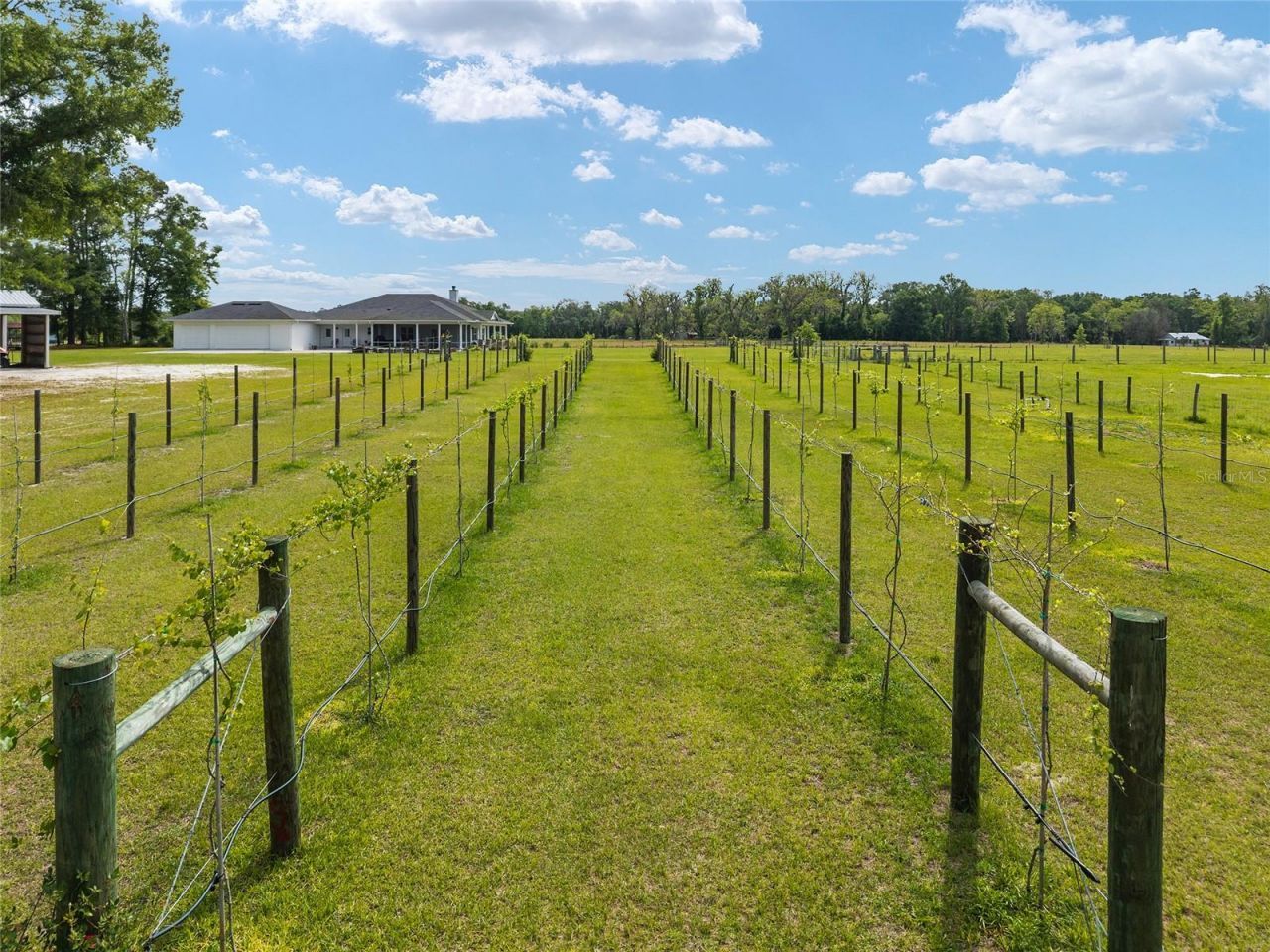 3725 172nd Street, Wellborn, FL 32094 Photo