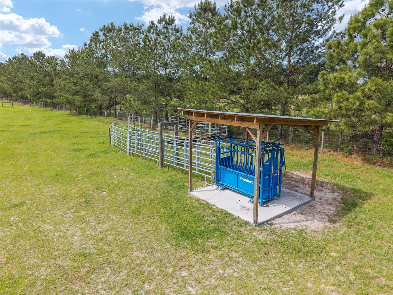 3725 172nd Street, Wellborn, FL 32094 Photo