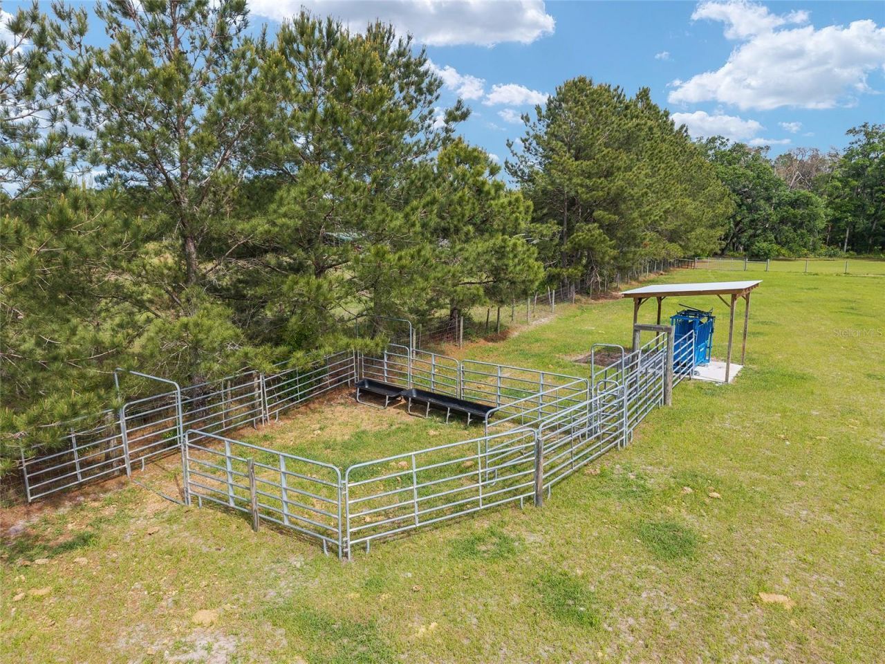 3725 172nd Street, Wellborn, FL 32094 Photo