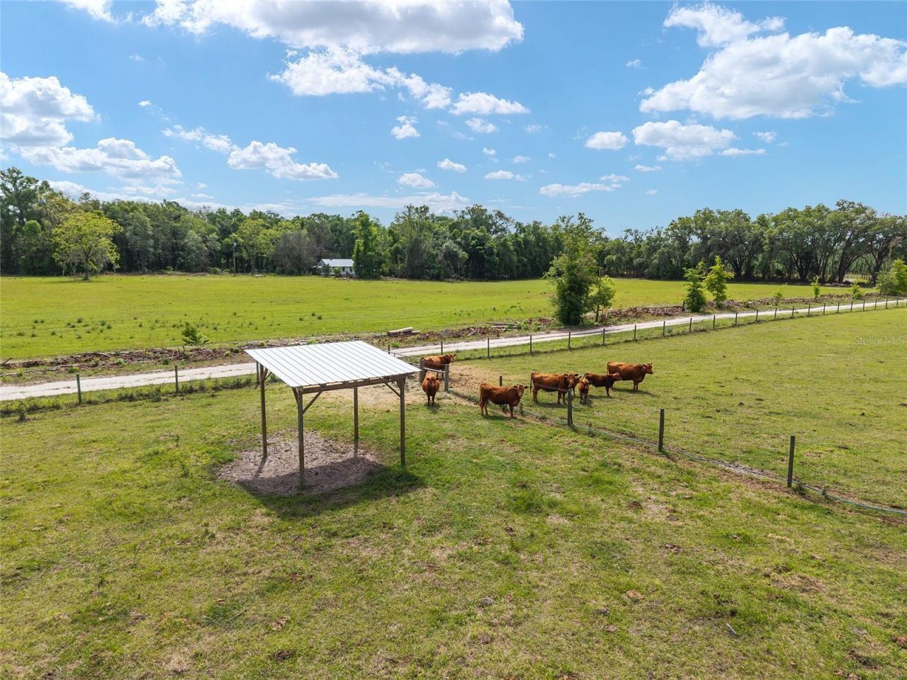 3725 172nd Street, Wellborn, FL 32094 Photo