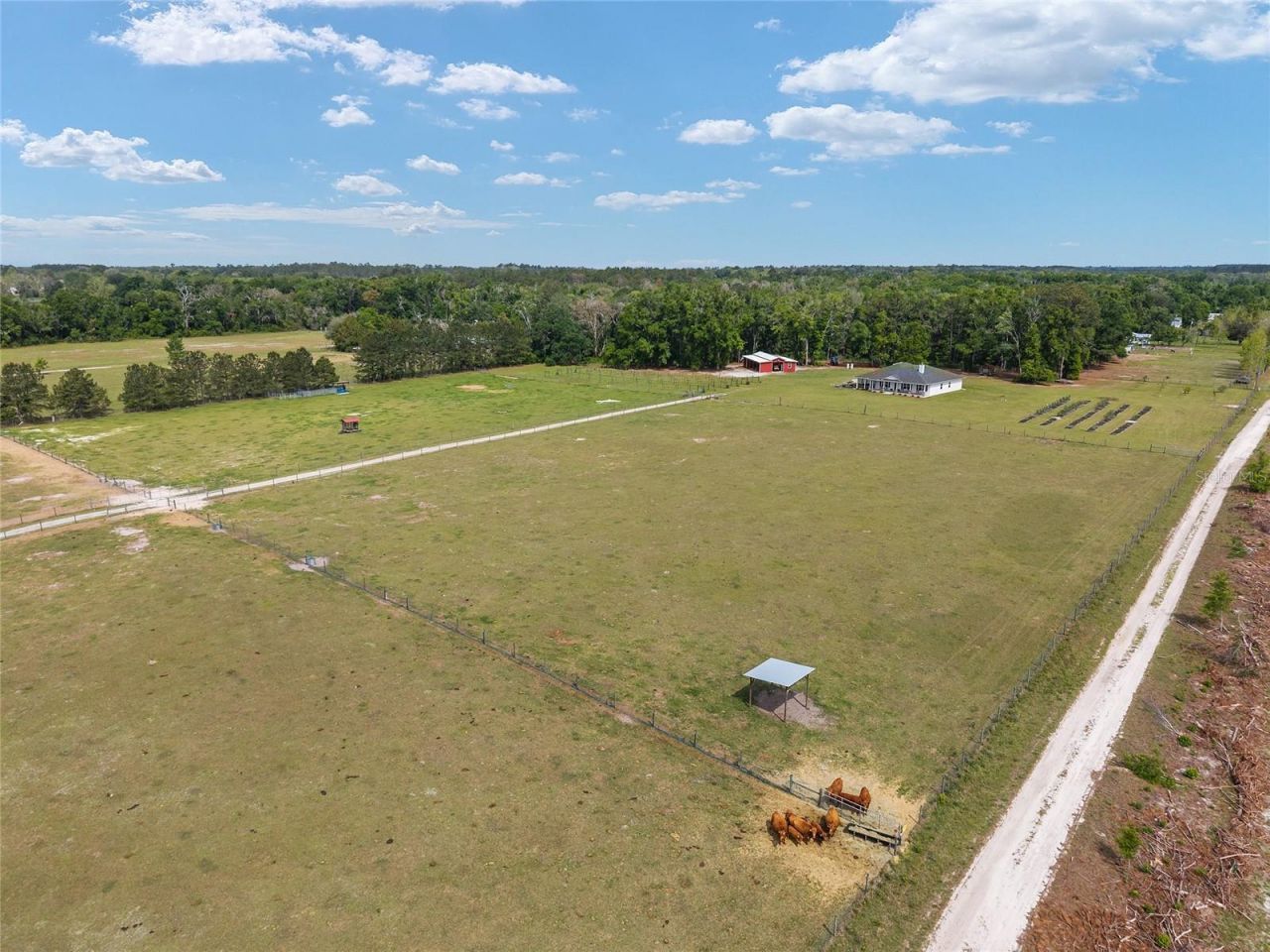 3725 172nd Street, Wellborn, FL 32094 Photo