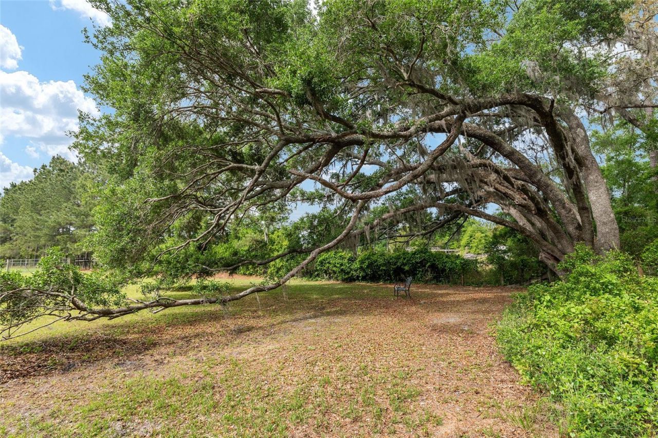 3725 172nd Street, Wellborn, FL 32094 Photo