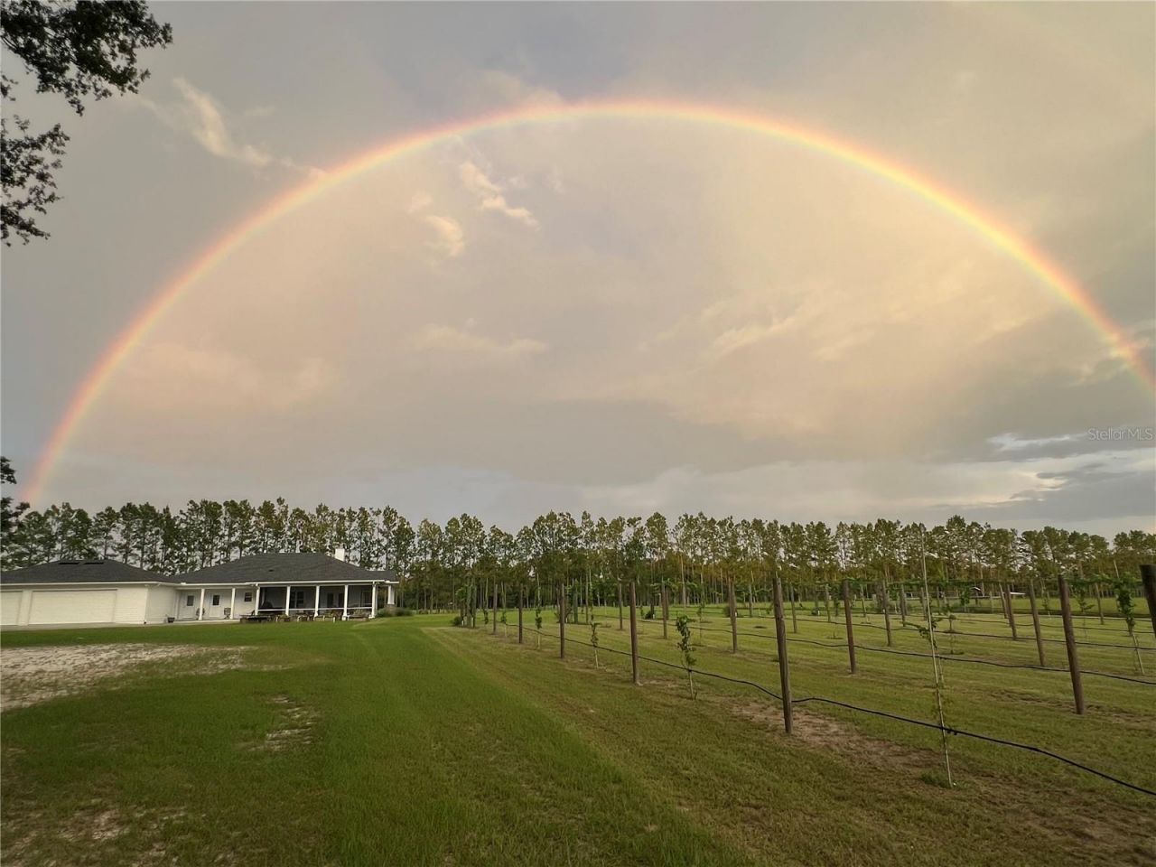 3725 172nd Street, Wellborn, FL 32094 Photo