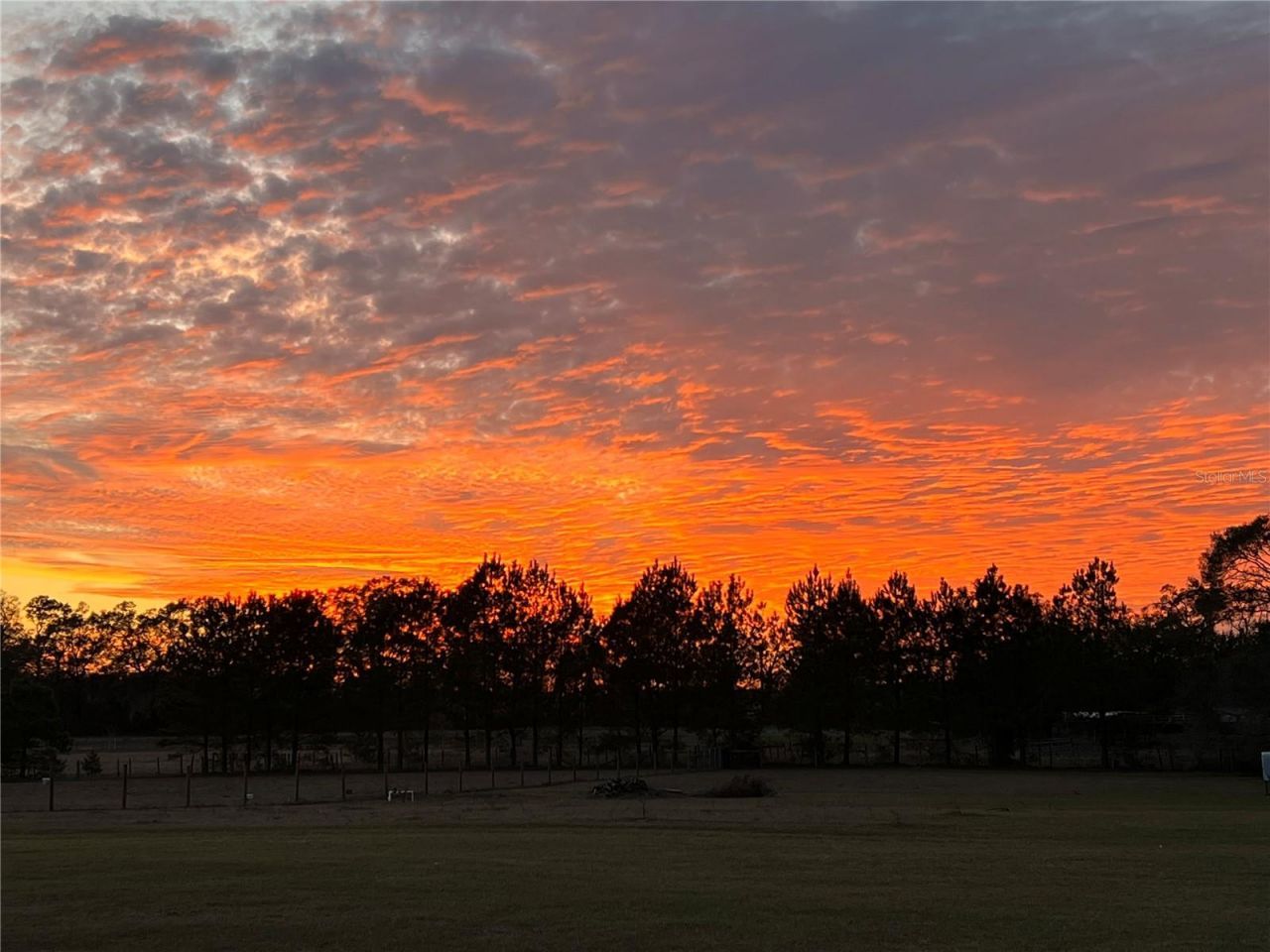 3725 172nd Street, Wellborn, FL 32094 Photo