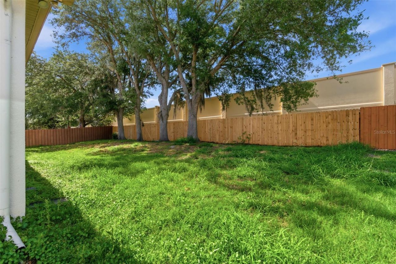 12513 Scarlett Sage Court , Winter Garden, FL 34787 Photo