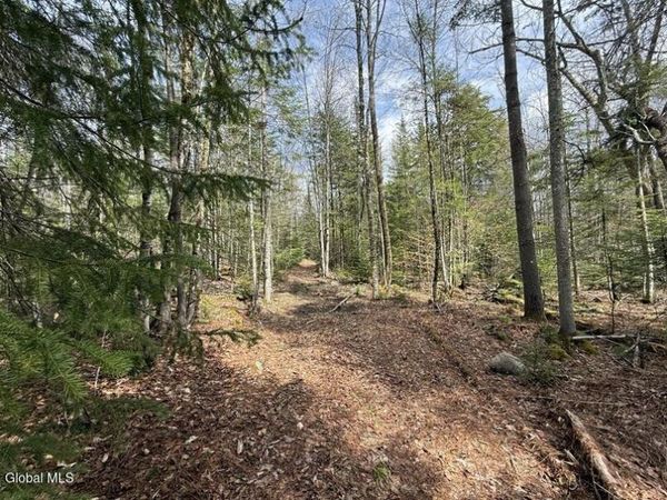 L34.4 Potash Hill Road, Unit #4, Schroon Lake, NY 12870