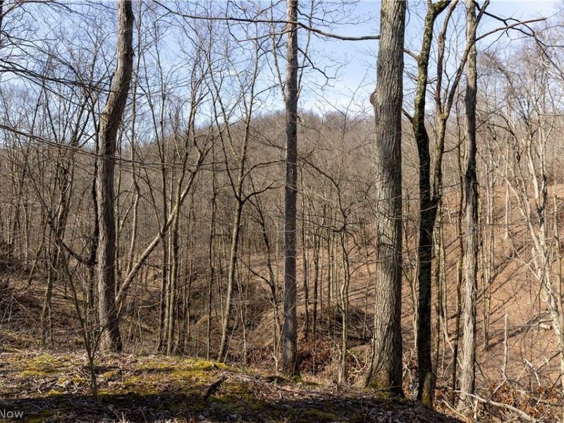 505 Back Run Road, Philo, OH 43771 Photo 10