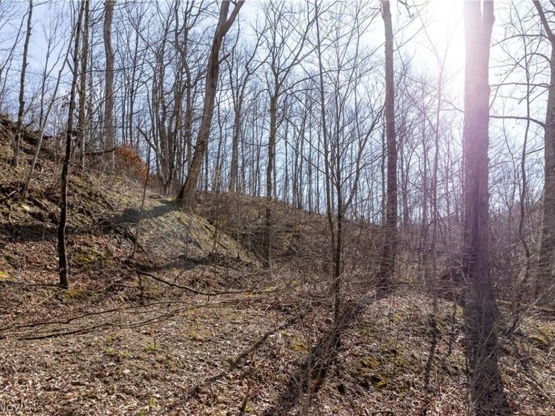 505 Back Run Road, Philo, OH 43771 Photo 13