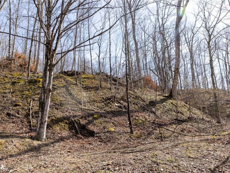 505 Back Run Road, Philo, OH 43771 Photo 14