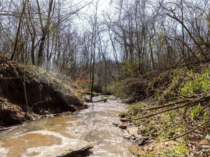 505 Back Run Road, Philo, OH 43771 Photo 16