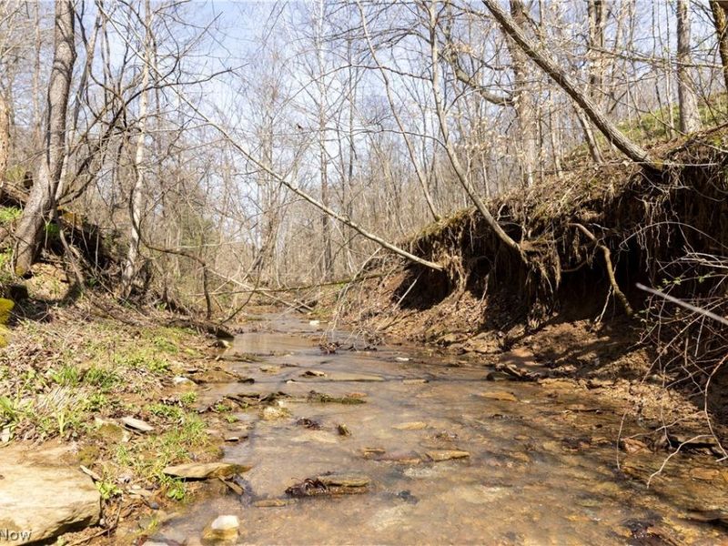 505 Back Run Road, Philo, OH 43771 Photo 17