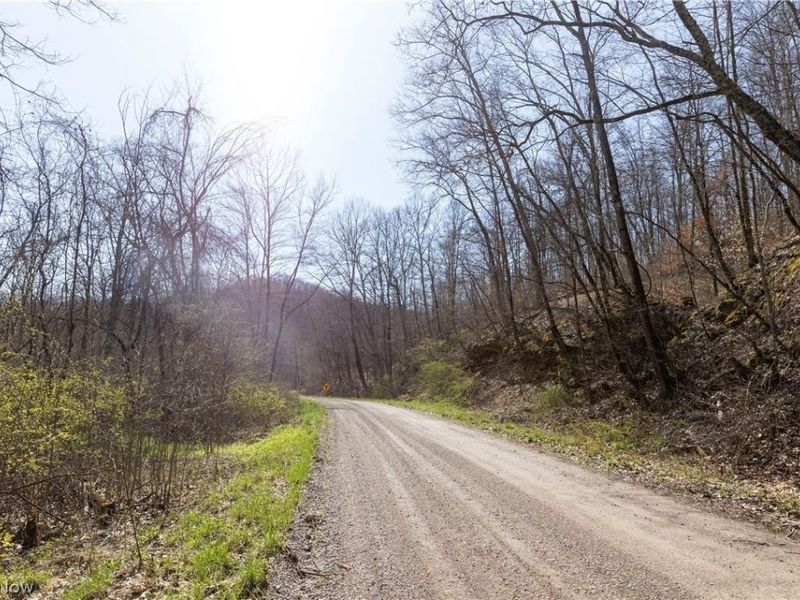 505 Back Run Road, Philo, OH 43771 Photo 18