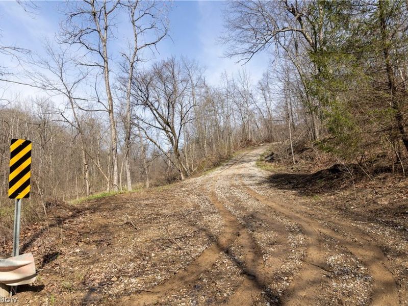 505 Back Run Road, Philo, OH 43771 Photo 19