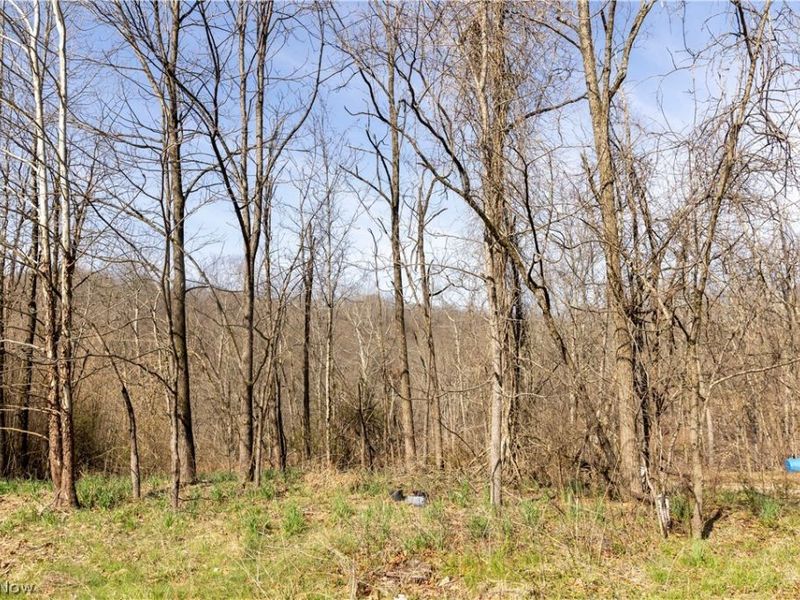 505 Back Run Road, Philo, OH 43771 Photo 5