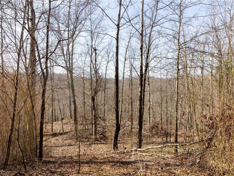 505 Back Run Road, Philo, OH 43771 Photo 6