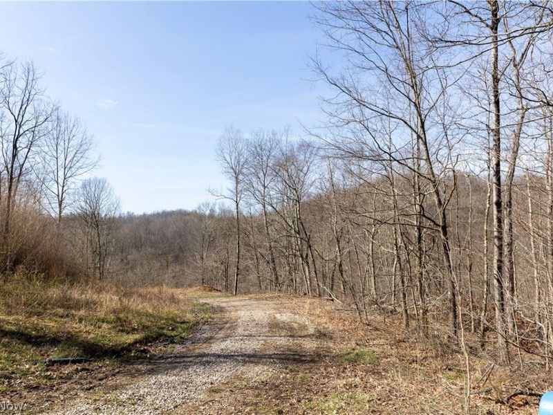 505 Back Run Road, Philo, OH 43771 Photo 7