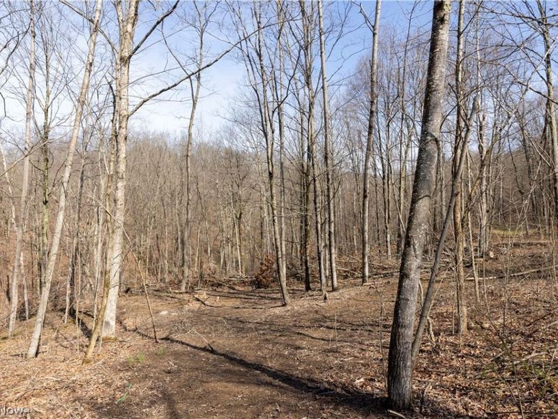 505 Back Run Road, Philo, OH 43771 Photo 8