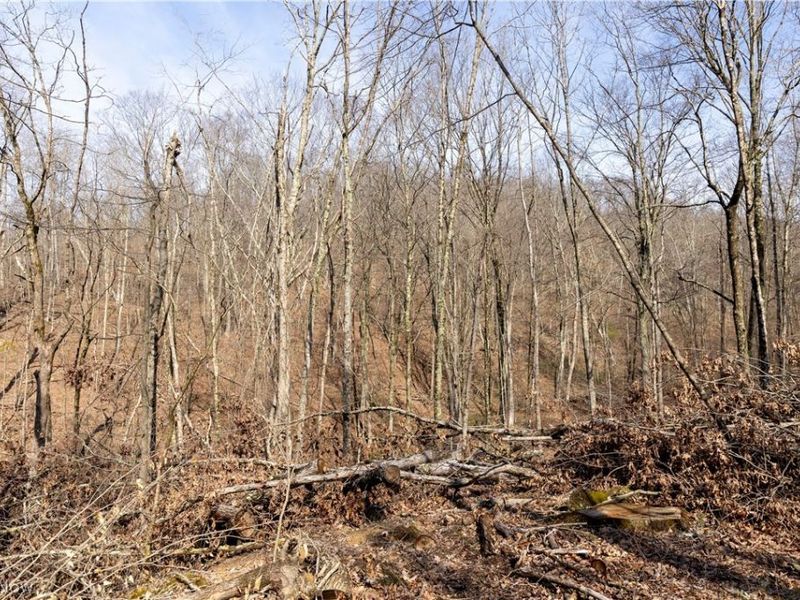 505 Back Run Road, Philo, OH 43771 Photo 9