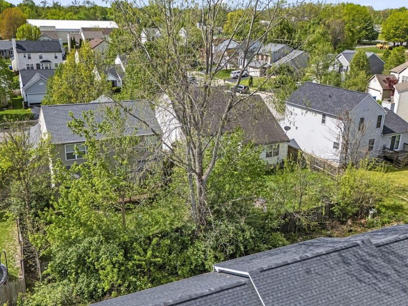 3442 Blendon Bend Way, Columbus, OH 43231 Photo 46