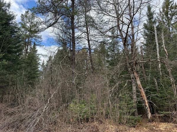 Lot 30 Maple Court, Cable, WI 54821
