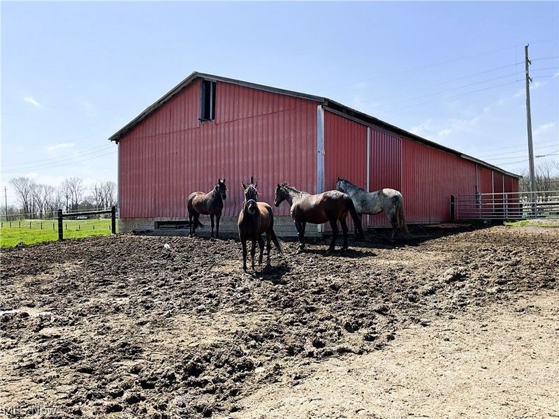 Madison Road, Middlefield, OH 44062 Photo 24