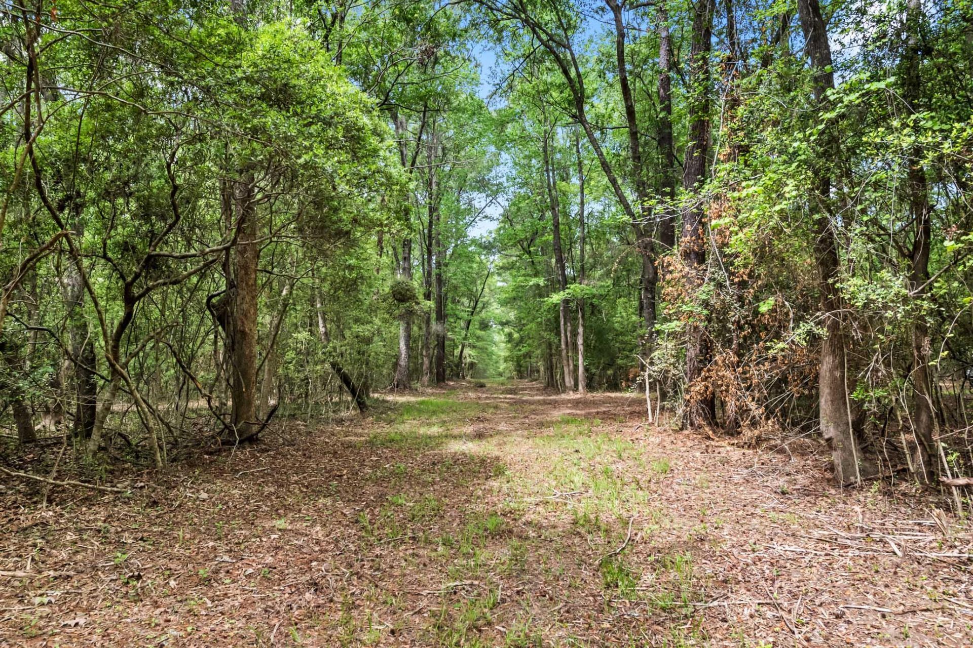 1 Frisco Lane Photo 13