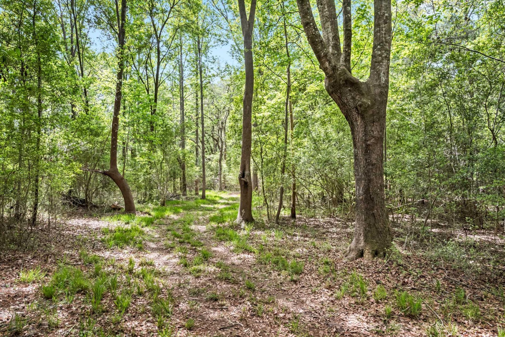1 Frisco Lane Photo 28