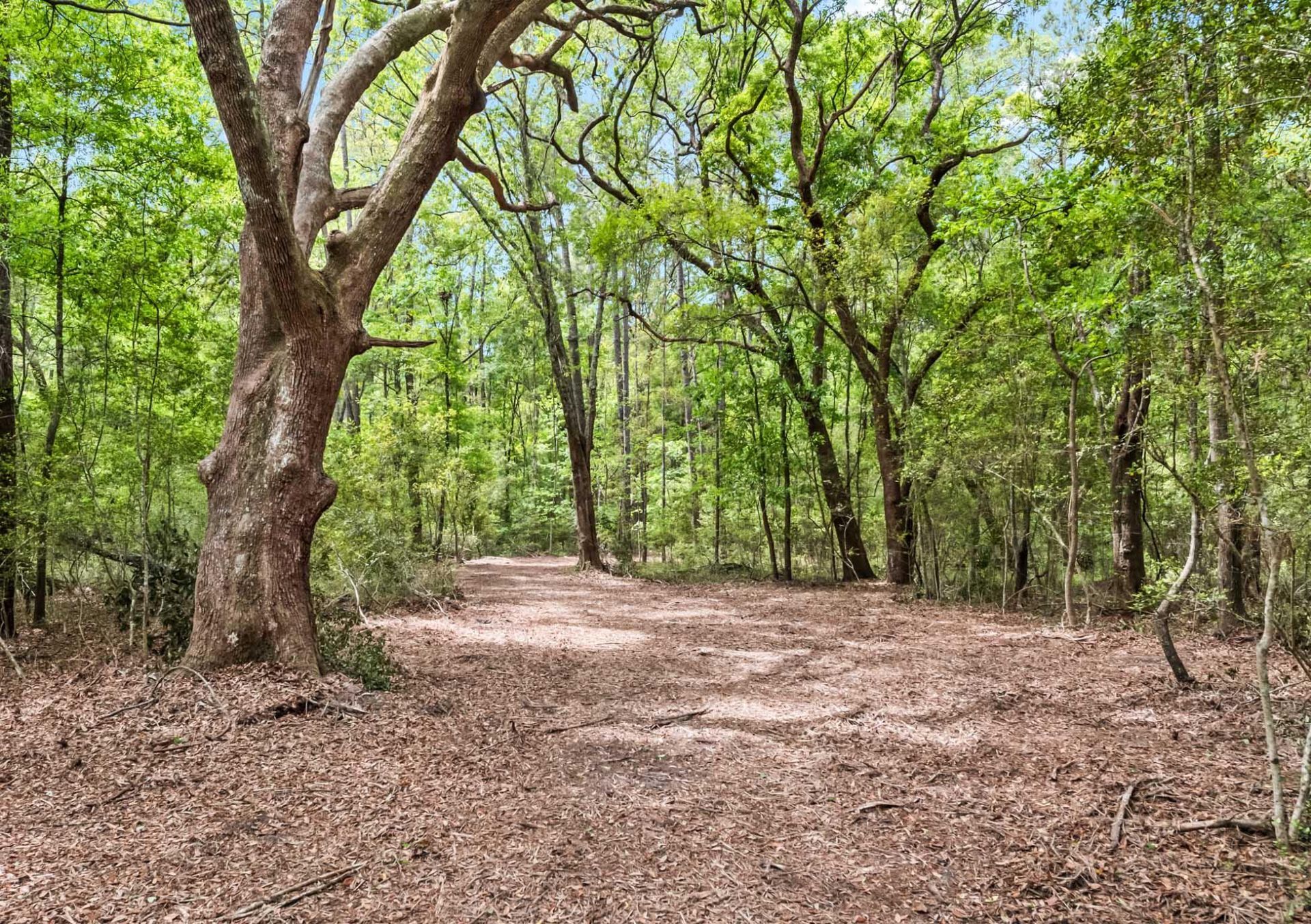 1 Frisco Lane Photo 3