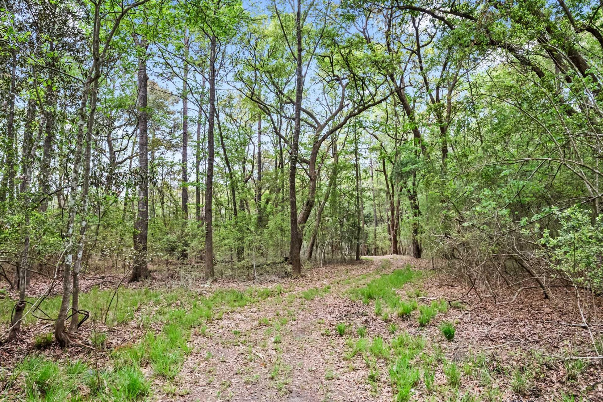 1 Frisco Lane Photo 4