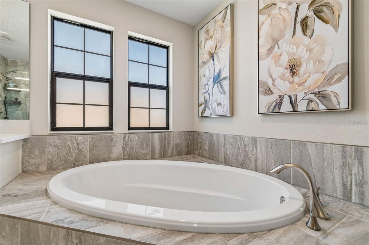 13154 Twin Bridges Drive , Riverview, FL 33579 Photo