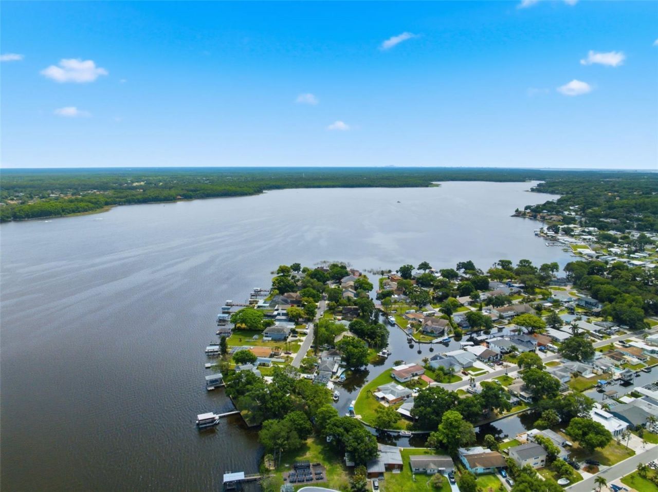 51 Cypress Drive , Palm Harbor, FL 34684 Photo