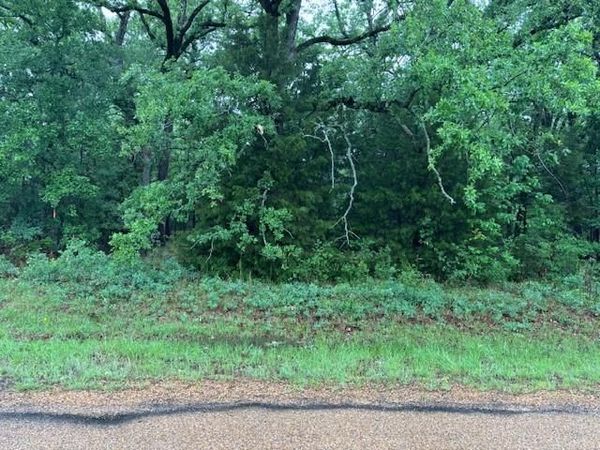 111 Double Bridge Road, Mabank, TX 75156