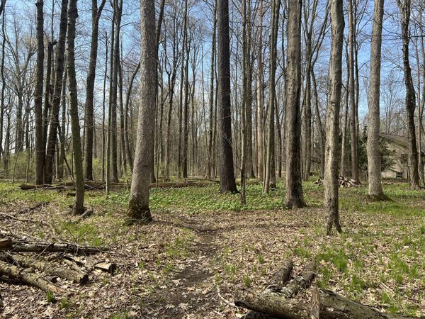 Waterloo Munith Road, Grass Lake, MI 49240